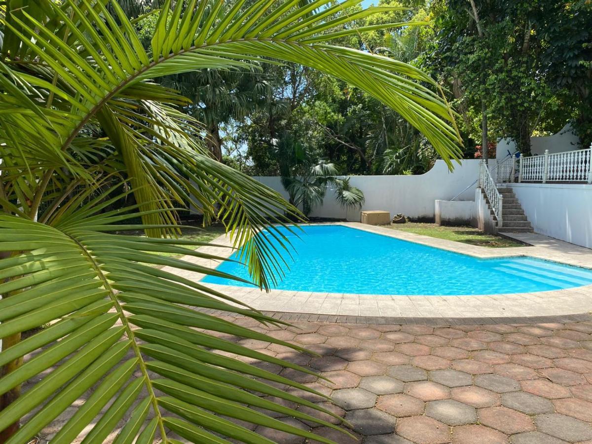 The Whitehouse Bed And Breakfast Durban Extérieur photo